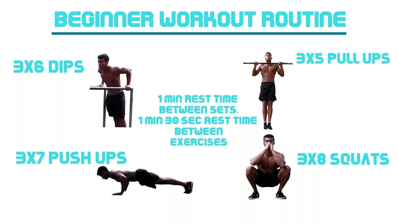 Calisthenics playbook for push pull squat. Калистеника базовые упражнения. калистеника программа тренировок. dips push ups. pull ups workout.