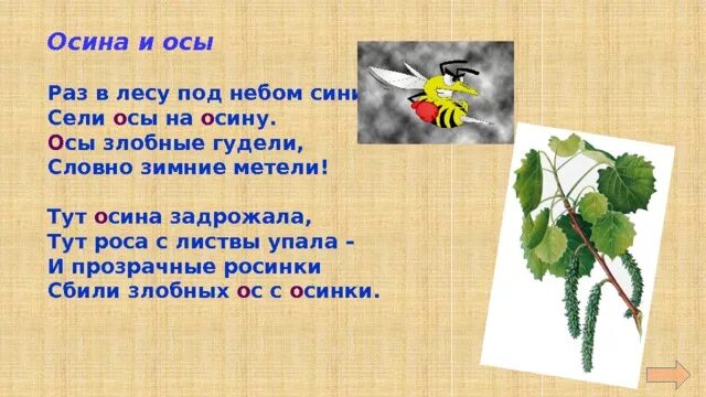 Словарное слово осина. Осина презентация для детей. Стихи про осину для детей. Стихи со словом осина.