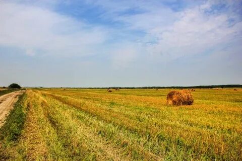 Агроклуб