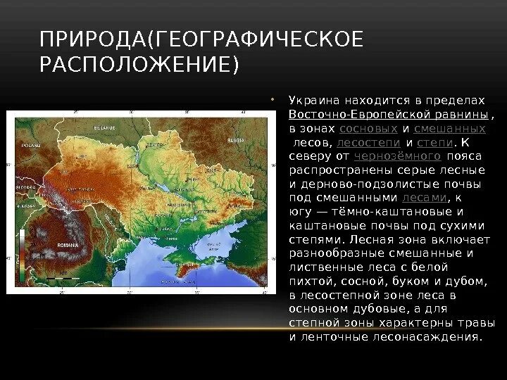 Географическое расположение степи. Географическое положение лесостепи в России. Лесостепь Западной Сибири географическое положение. Географическое положение степей в России кратко. Механический состав почвы восточно европейской равнины