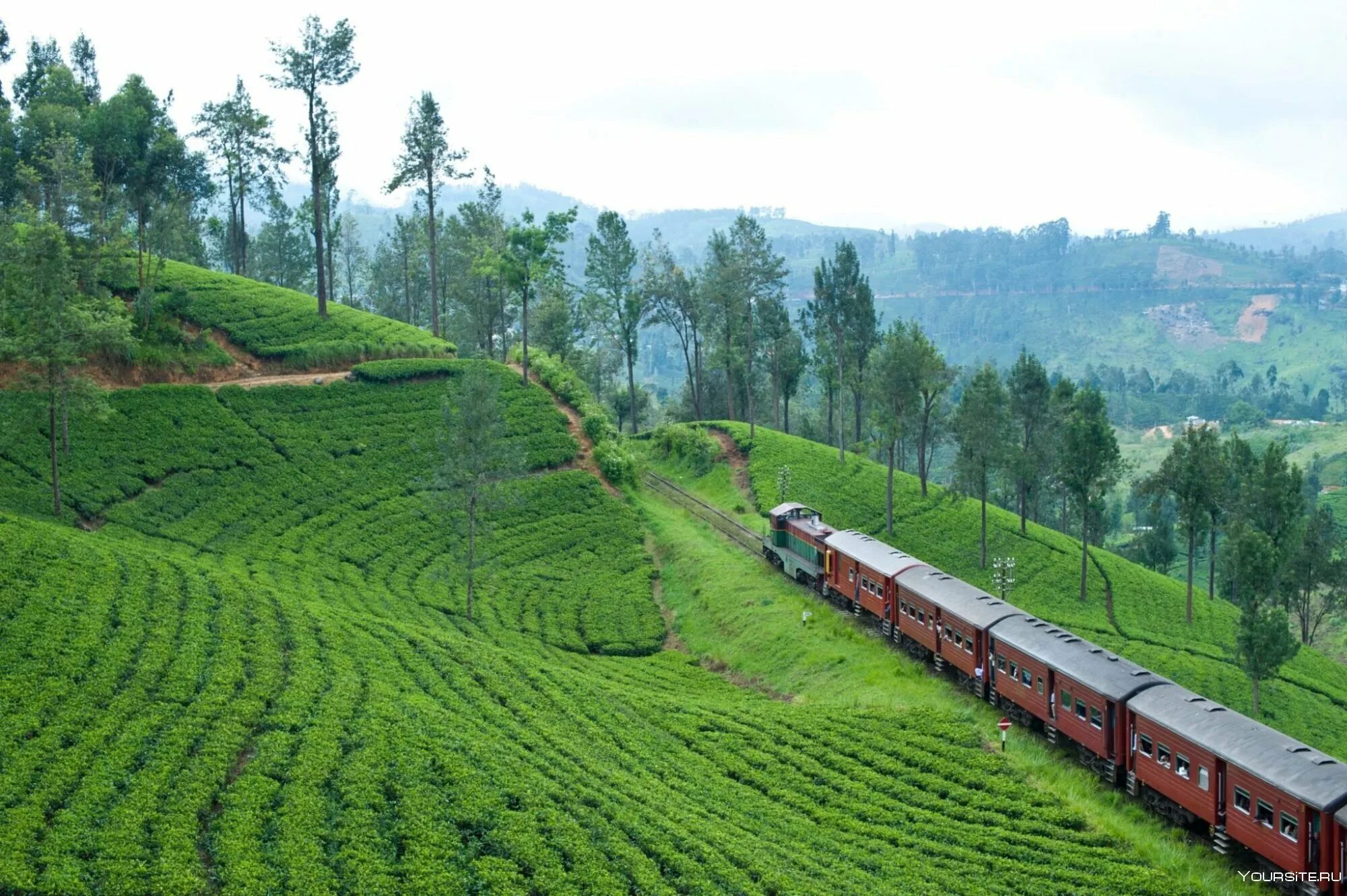 Нувара Элия. Nuwara Eliya Шри Ланка. Цейлон Нувара Элия. Шри Ланка чайные плантации Нувара Элия. Нувара элия шри