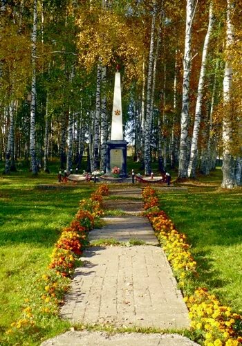 Градостроительное зонирование это томск. Погода в вавиловке томская. Погода в вавиловке томская. Бакчарский краеведческий музей северного садоводства. Деревня кисловка томская область.