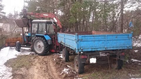 Авито сельхоз ростовская