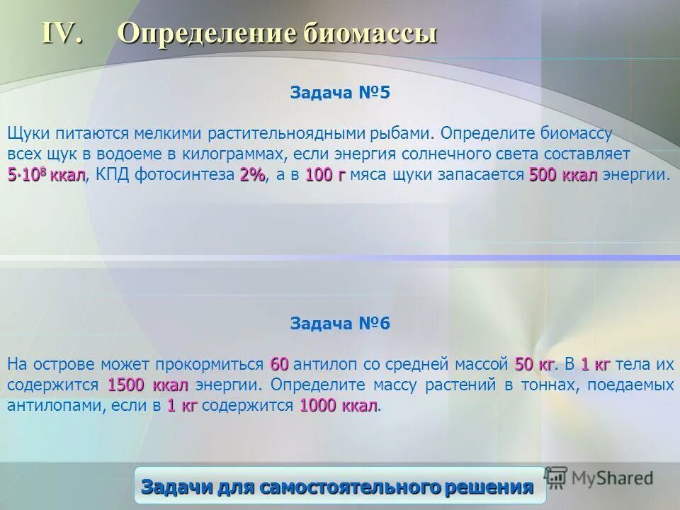 Биомасса почвы. Основные способы концентрации биомассы. Биомасса океана. Биомасса поверхности суши мирового океана почвы. Живая биомасса.