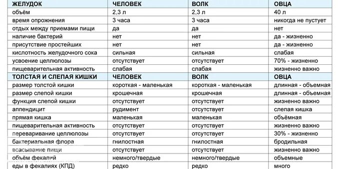 Сколько держится в желудке. Пищеварительная система хищников и травоядных таблица. Время переваривания таблица. Таблица переваривания пищи в желудке. Пищеварение хищников и травоядных.