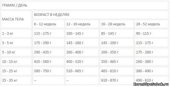 Сколько кормить щенка 6 месяцев. Норма корма для щенка шпица 5 месяцев.