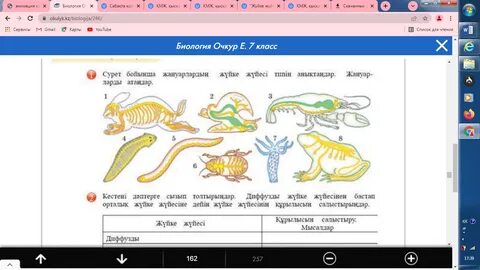 Порно оқиға: Тойда қалыңдықты жаттықтырған