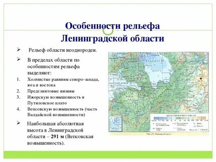 Основные сведения о поверхности санкт петербурга