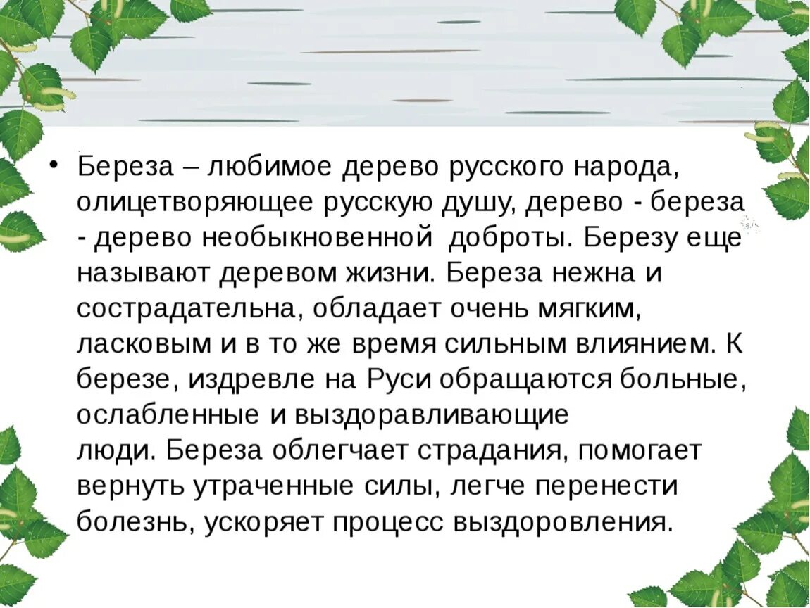 Тема мое любимое дерево. Сочинение про березу. Сочинение на тему береза. Сочинение про березку. Сочинение русская Березка.