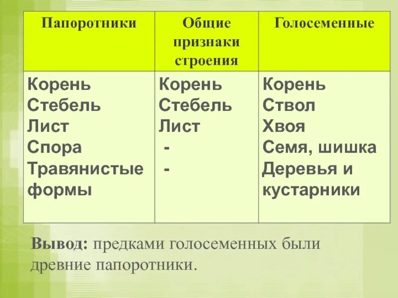 Папоротники мхи различия. Голосеменные растения особенности строения таблица. Сравнение голосеменных растений таблица. Различие папоротникообразных и голосеменных. Сходство папоротников и голосеменных растений.