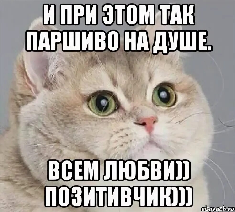 Паршиво на душе. Паршиво на душе картинки. Мне так паршиво на душе. Так паршиво. Паршивое настроение.