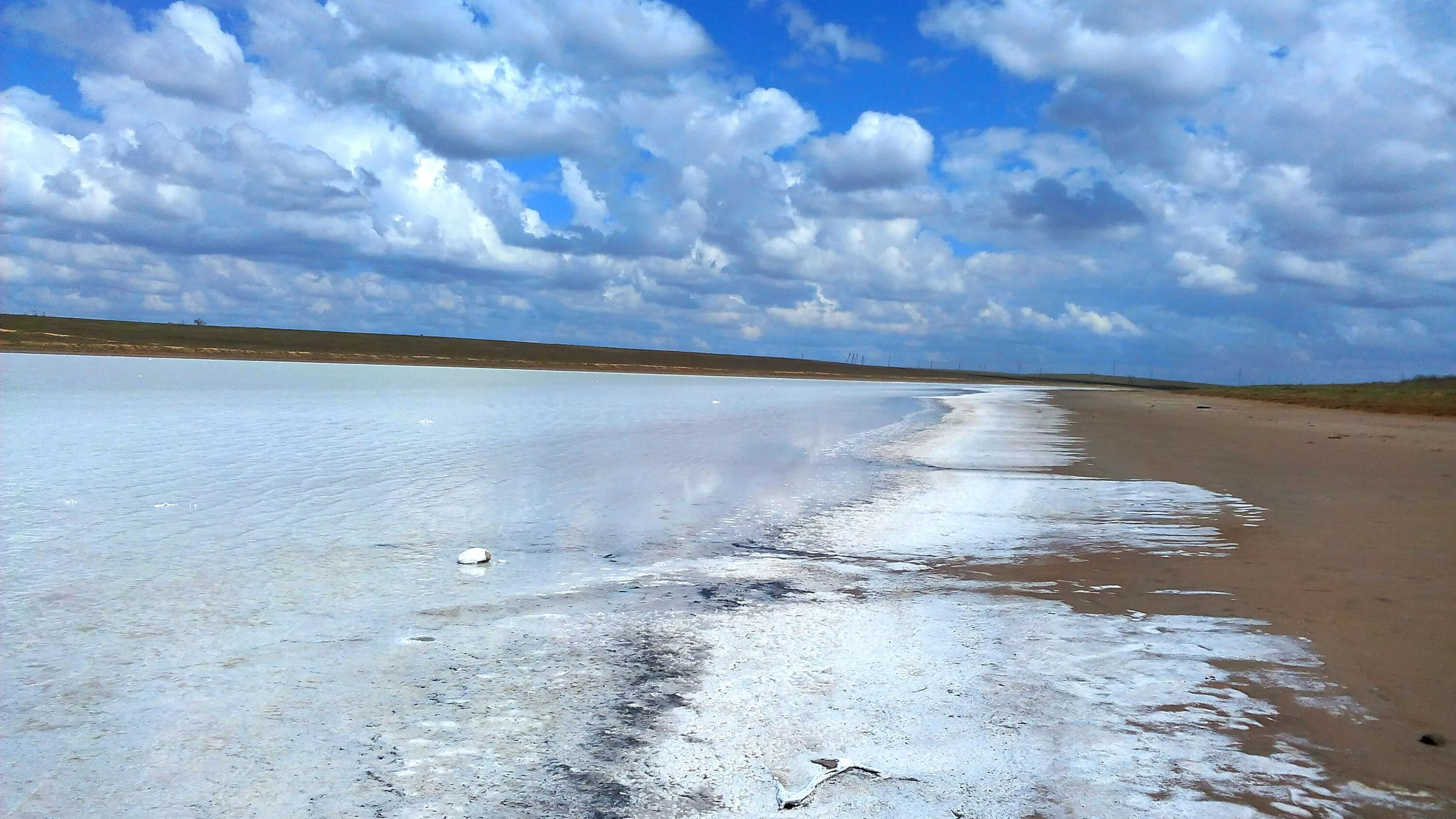 Окунёво Бердюжский район солёное озеро. Озеро Баскунчак. Бердюжье Тюменская область озеро соленое. Солёное озеро в Ставропольском крае Светлоград. Тюменские соленые озера