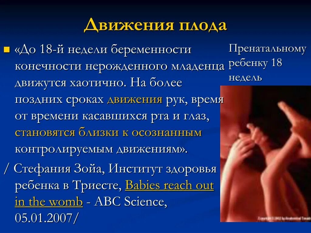 Движение плода. Первое шевеление плода при первой беременности. Когда чувствуешь шевеление плода. Во сколько недель первые шевеления. Когда можно почувствовать первое