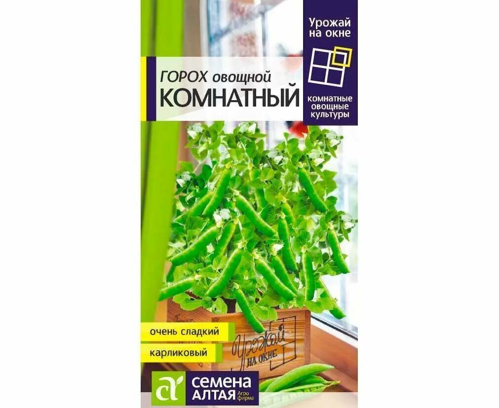 Комнатный горох. Горох комнатный семена Алтая. Горох овощной комнатный. Семена гороха. Горох овощной комнатный семена.