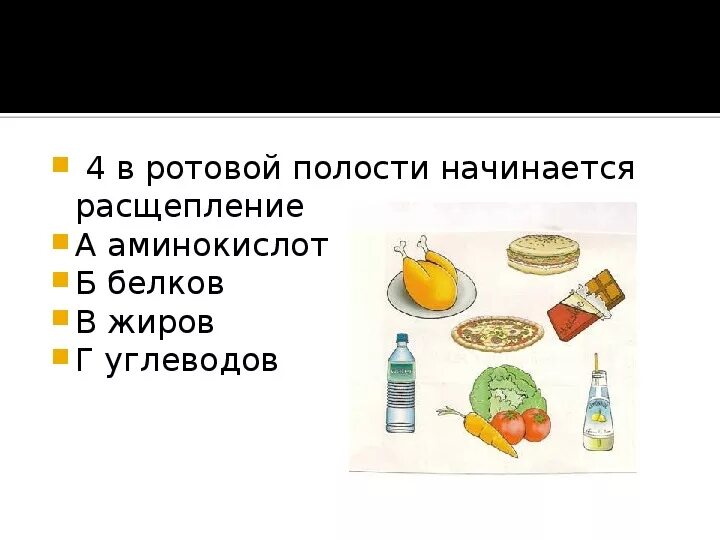 В ротовой полости начинается расщепление белков углеводов жиров. Жиры белки углеводы начинают расщепляться в ротовой. Ротовая полость начало расщепления углеводов желудок объект процесс. В ротовой полости человека начинается расщепление.