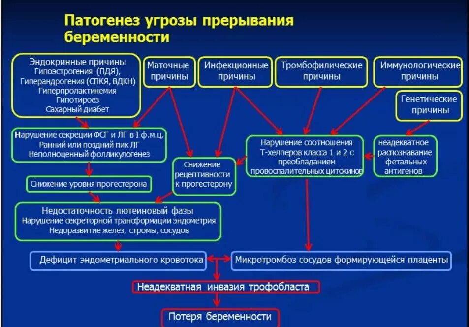 На каком сроке угроза выкидыша. Угроза прерывания беременности. Терапия угрозы прерывания беременности. Угроза прерывания беременности на ранних сроках симптомы. Угроза при беременности.