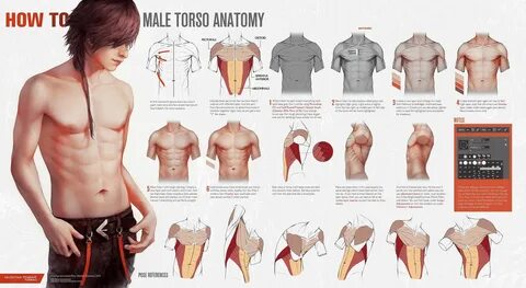 Progress tutorials on how I paint male torso (manga realism style) and hand...