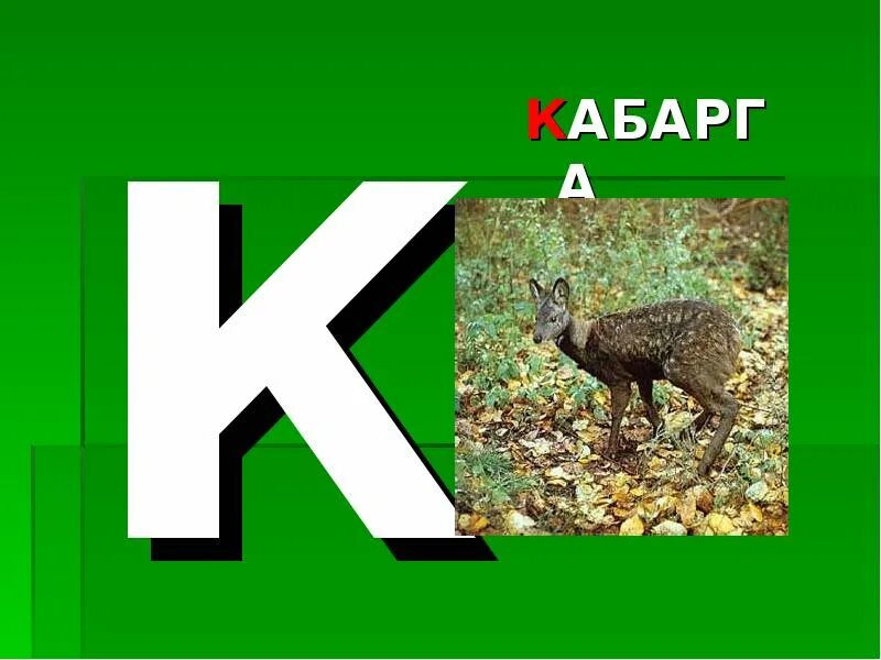 Ребус лось. Ребус лось