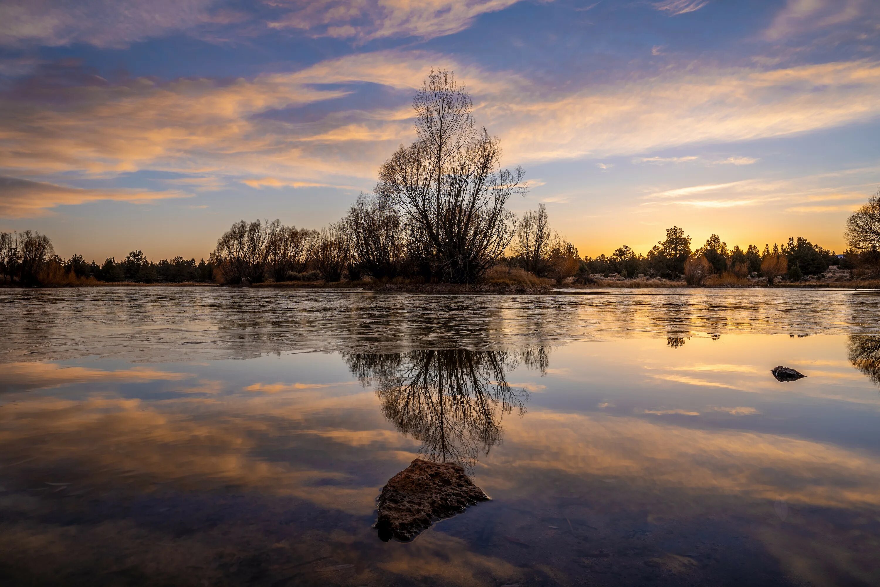 Дерево отражается в воде. Отражение в воде. Отражение природы в воде. Сумерки природа. Деревья отражаются в воде.