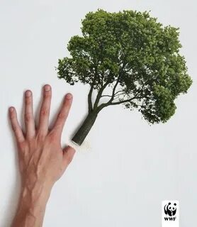 Doesn t grow on trees