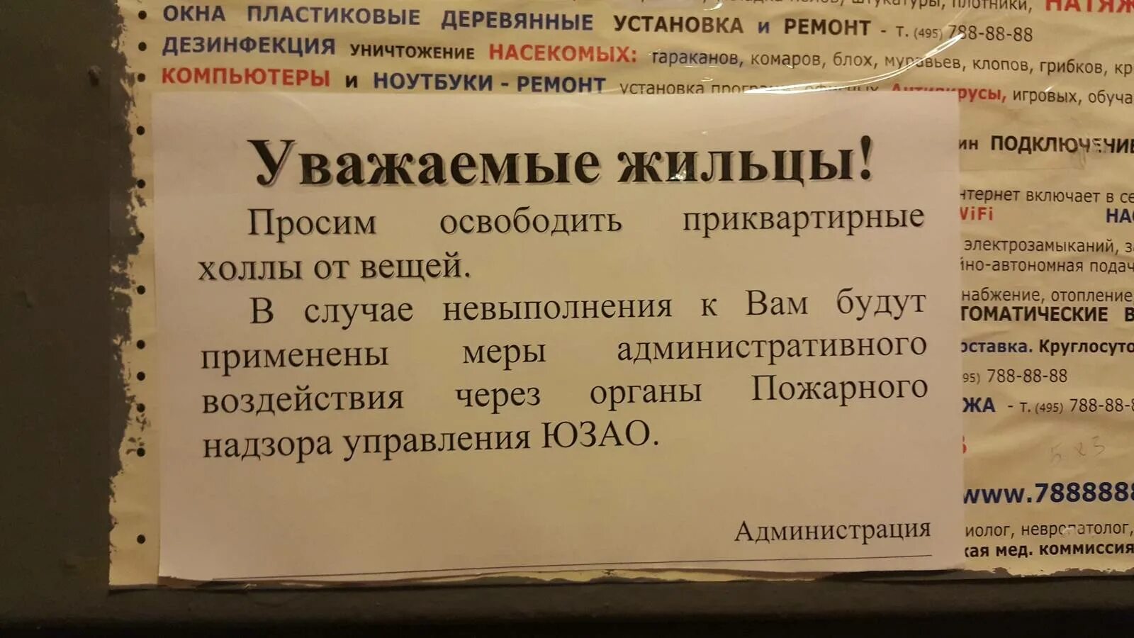 Пришли соседи что делать