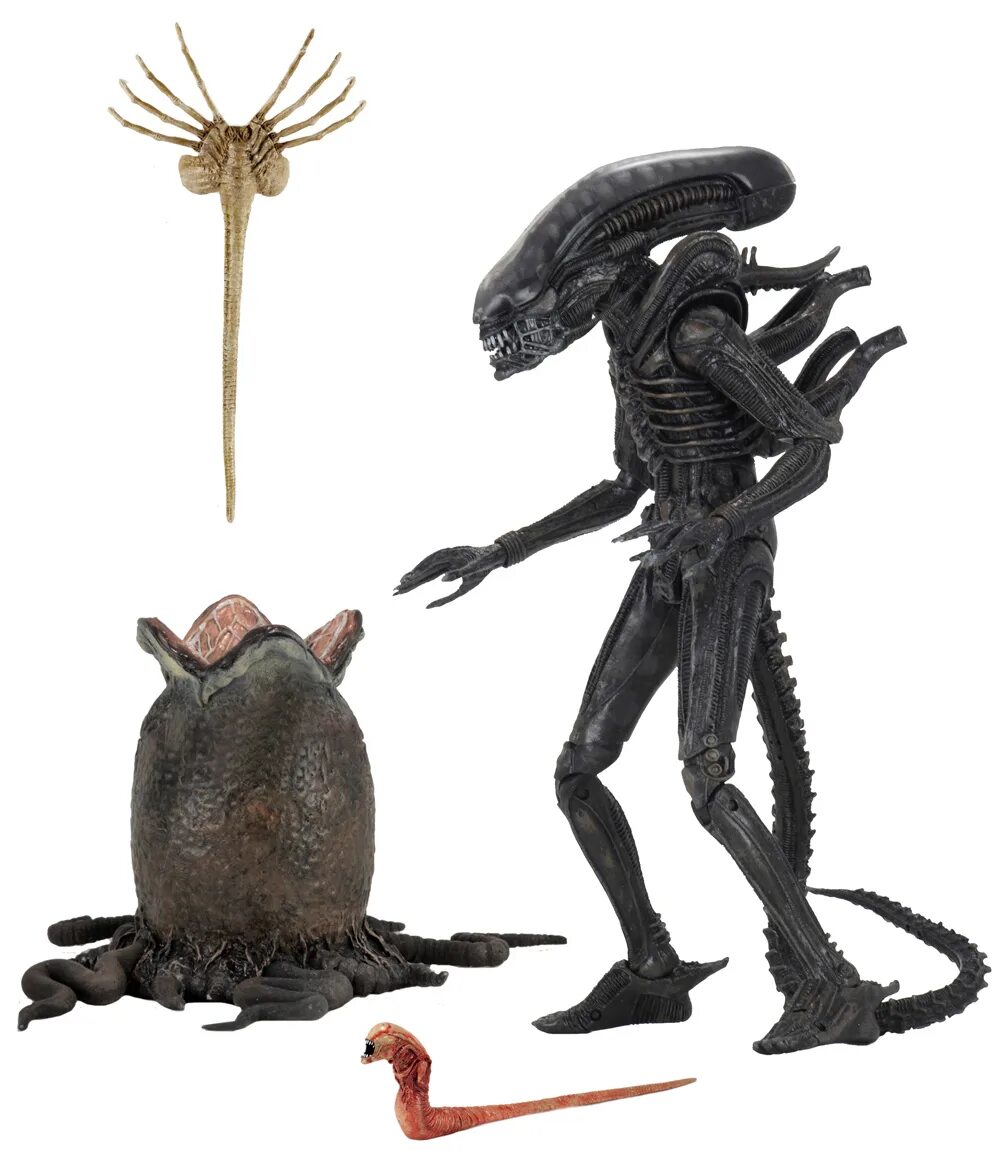 Чужой фигурка neca. Чужой фигурка. Фигурки neca aliens. Фигурка alien - xenomorph. Фигурка neca aliens - чужой воин 51390.