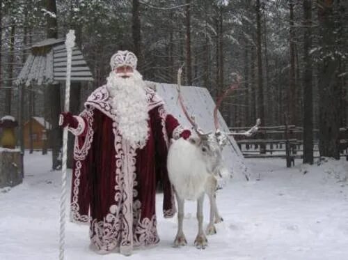 Где живет настоящий дед мороз. Великий Устюг олени Деда Мороза. Дед Мороз живет в Великом Устюге. Дедушка Мороз живет в Устюге. Дед Мороз из Великого Устюга в лесу.