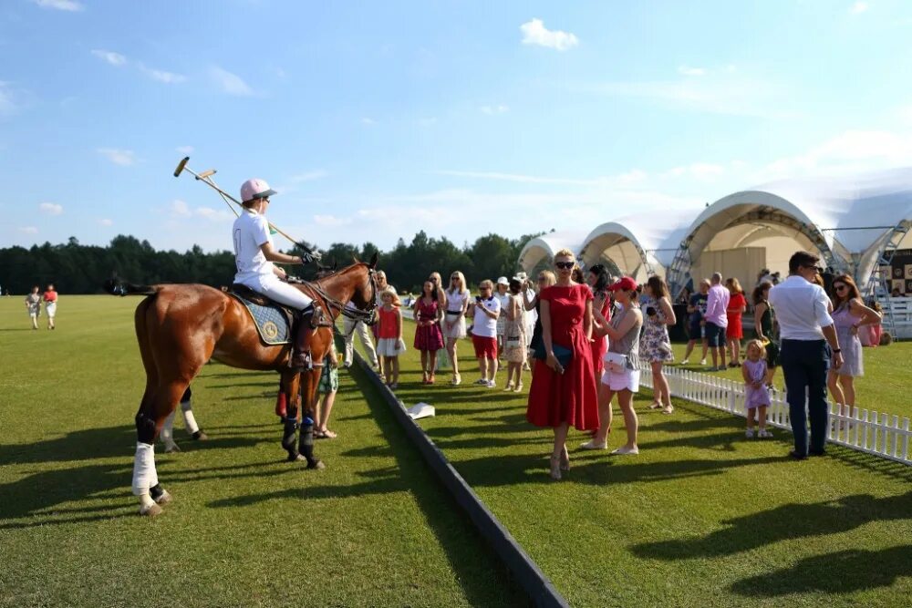 Место для проведения конных. Примеры организации конных предприятий. Место для проведения конных. Место для проведения конных. Всадник в седле.