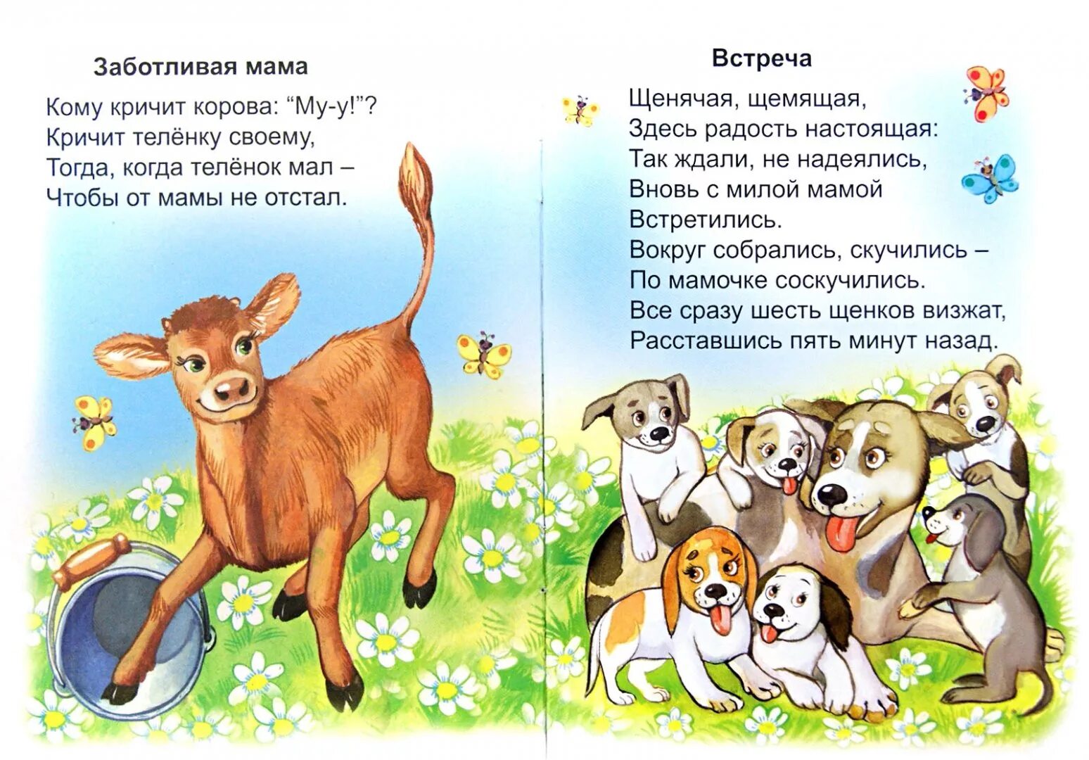 Заботливая мамаша скребицкий рисунок. Скребицкий заботливая мамаша иллюстрации. Однажды пастухи поймали лисенка. Скребицкий заботливая мамаша иллюстрации. Скребицкий заботливая мамаша иллюстрации.