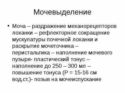 Почечный тонус