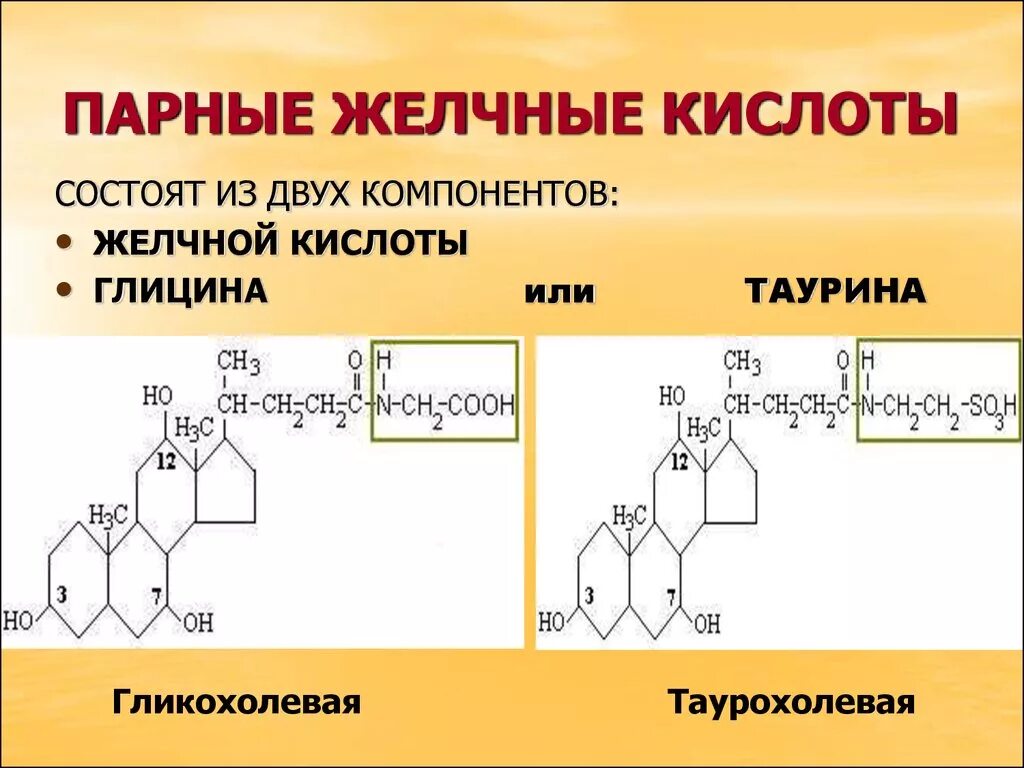 Формулы парных желчных кислот. Структура парных желчных кислот. Желчные кислоты структурная формула. Строение парных желчных кислот.