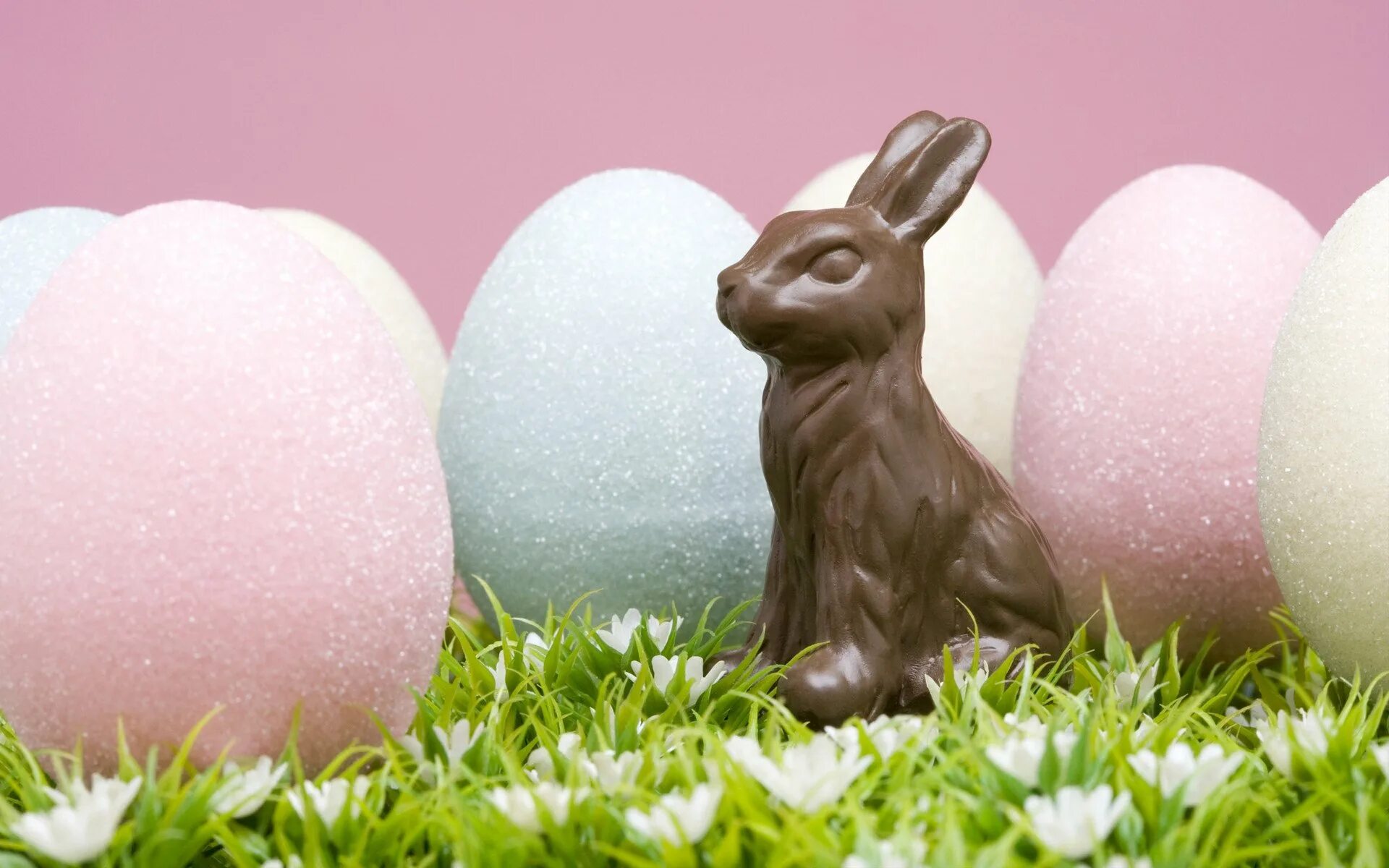Почему символом пасхи является кролик. Пасхальный заяц. Католическая Пасха. Пасхальный заяц с яйцом. Пасхальный кролик с яйцами.