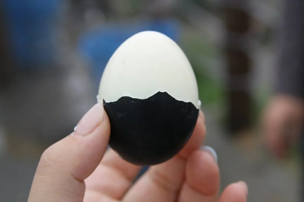 Яйцо стало черным. Черные яйца. Чёрные яйца куриные. Черная скорлупа.