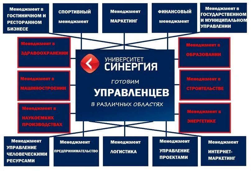 Организационная структура управления университета «СИНЕРГИЯ». Структура управления университета СИНЕРГИЯ. Схему организационной структуры СИНЕРГИЯ. Структура учебного заведения.