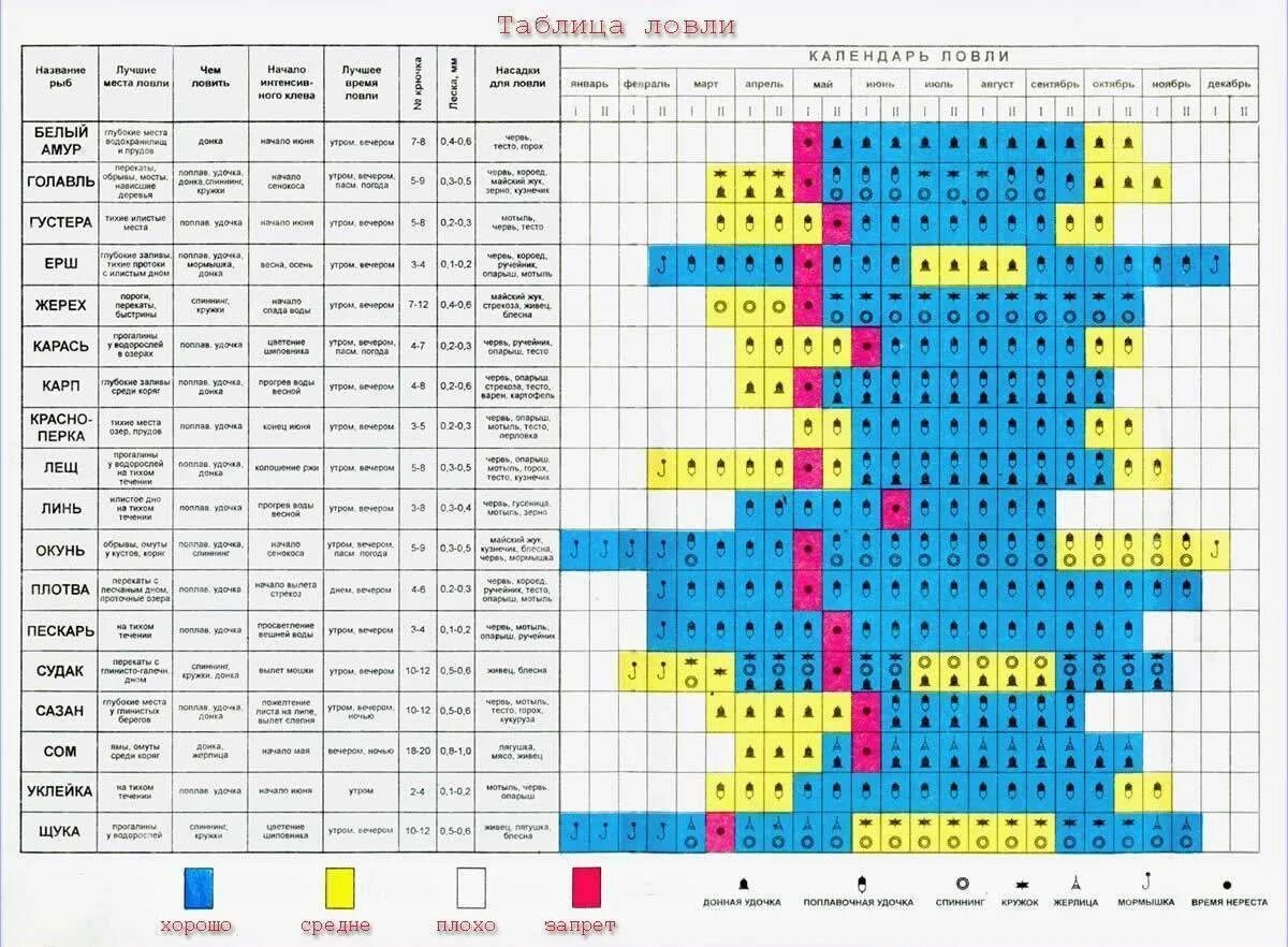 Таблица лова. Рыбалка таблица клева. Таблица клева карася. Таблица ловли рыбы. Таблица клева щуки.