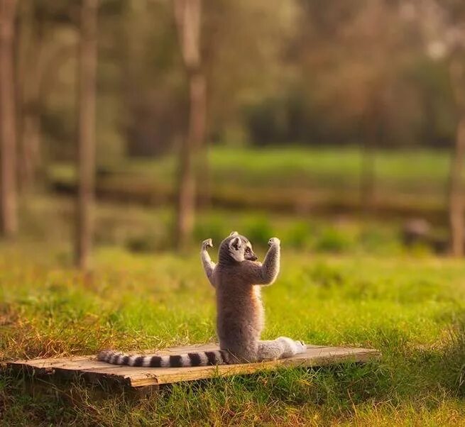 Человек на рассвете. Мужчина на рассвете. Выспавшийся человек. Утро усилие. Комната для девушки.