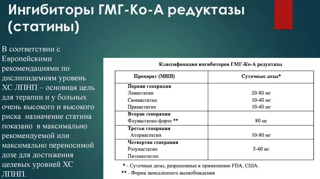 Ингибиторы гмг редуктазы