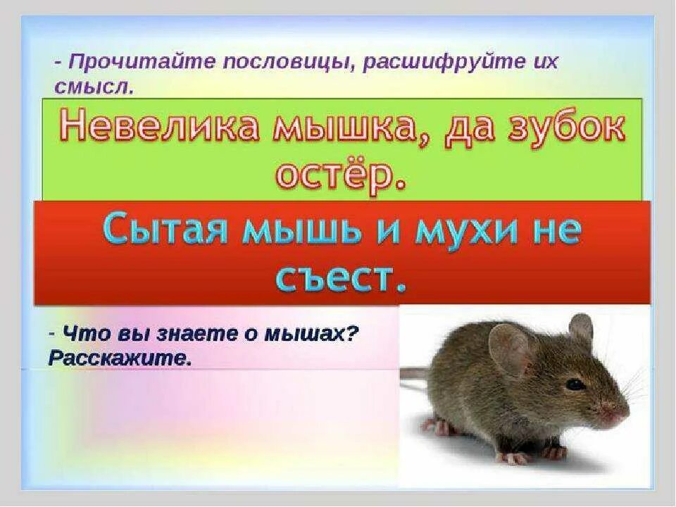 Мышь прилагательное