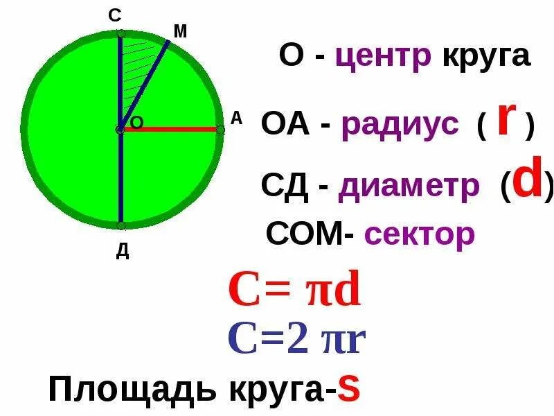 Как найти окружность с центром 0. Формула площади круга через диаметр 6 класс. Площадь круга формула через диаметр. Формула площади круга 6 класс. Формулы окружности и круга.