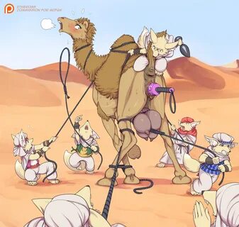 Slideshow bdsm camel.