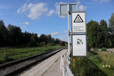 Автобусы кривандино