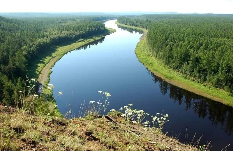 Подкаменная Тунгуска река. Реки Красноярск Подкаменная Тунгуска. Река Подкаменная Тунгуска фото. Река ангора Подкаменная Тунгуска. Приток подкаменной