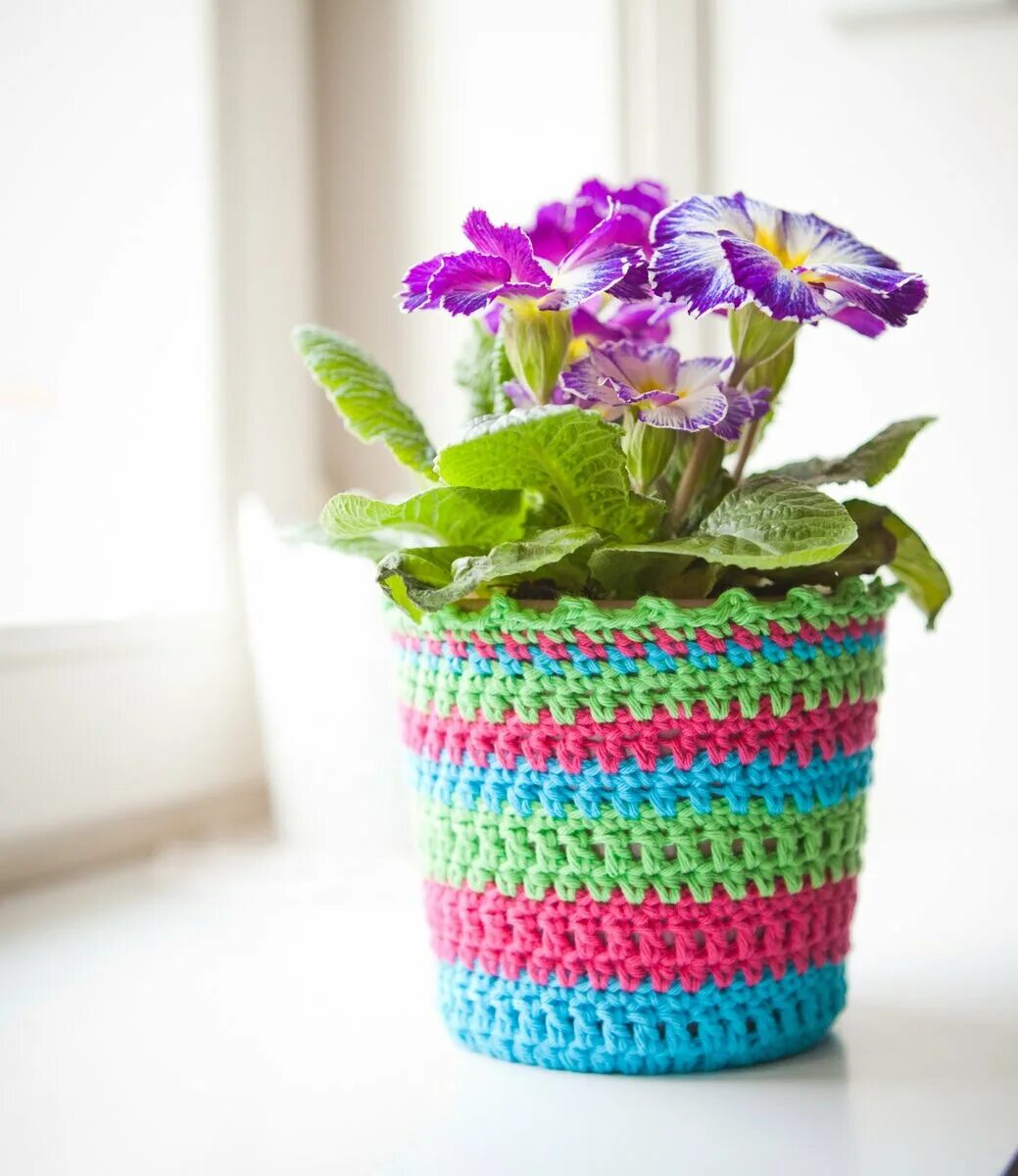 Обвязанные кашпо. Кактус в горшочке крючком. Связанные цветы крючком в горшках. Вязаные цветочные горшки. Вязаное кашпо.