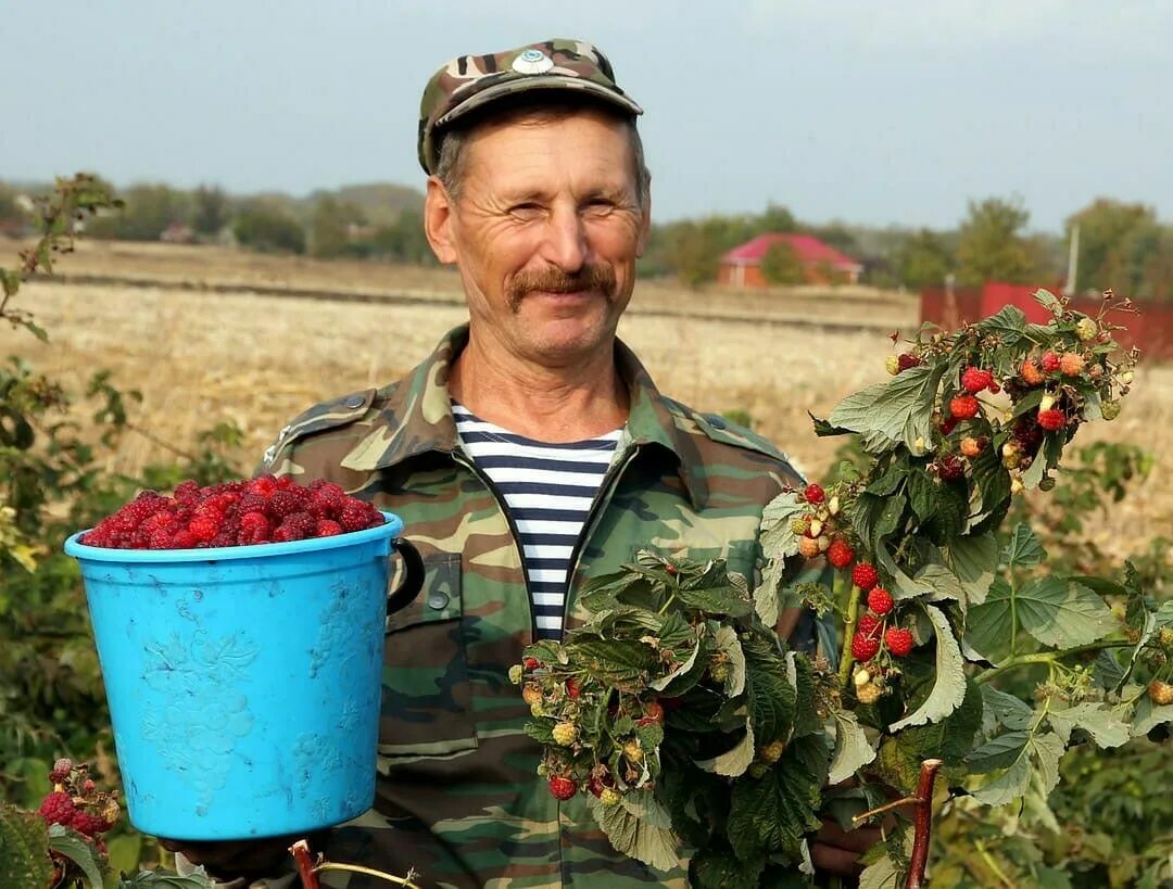 Нестеренко Брюховецкая. Фотоконкурс человек труда. Фермеры Брюховецкого Самойленко.