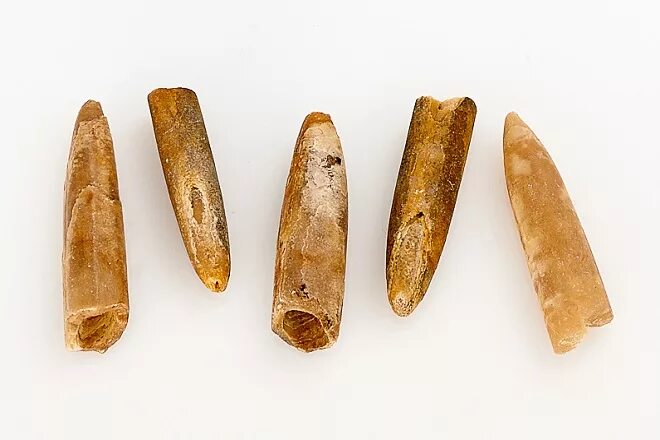 Использование белемнита в народной медицине. Камень белемнит чёртов. Камень белемнит(чертов палец). Белемнит камень магические свойства. Камень белемнит чёртов.