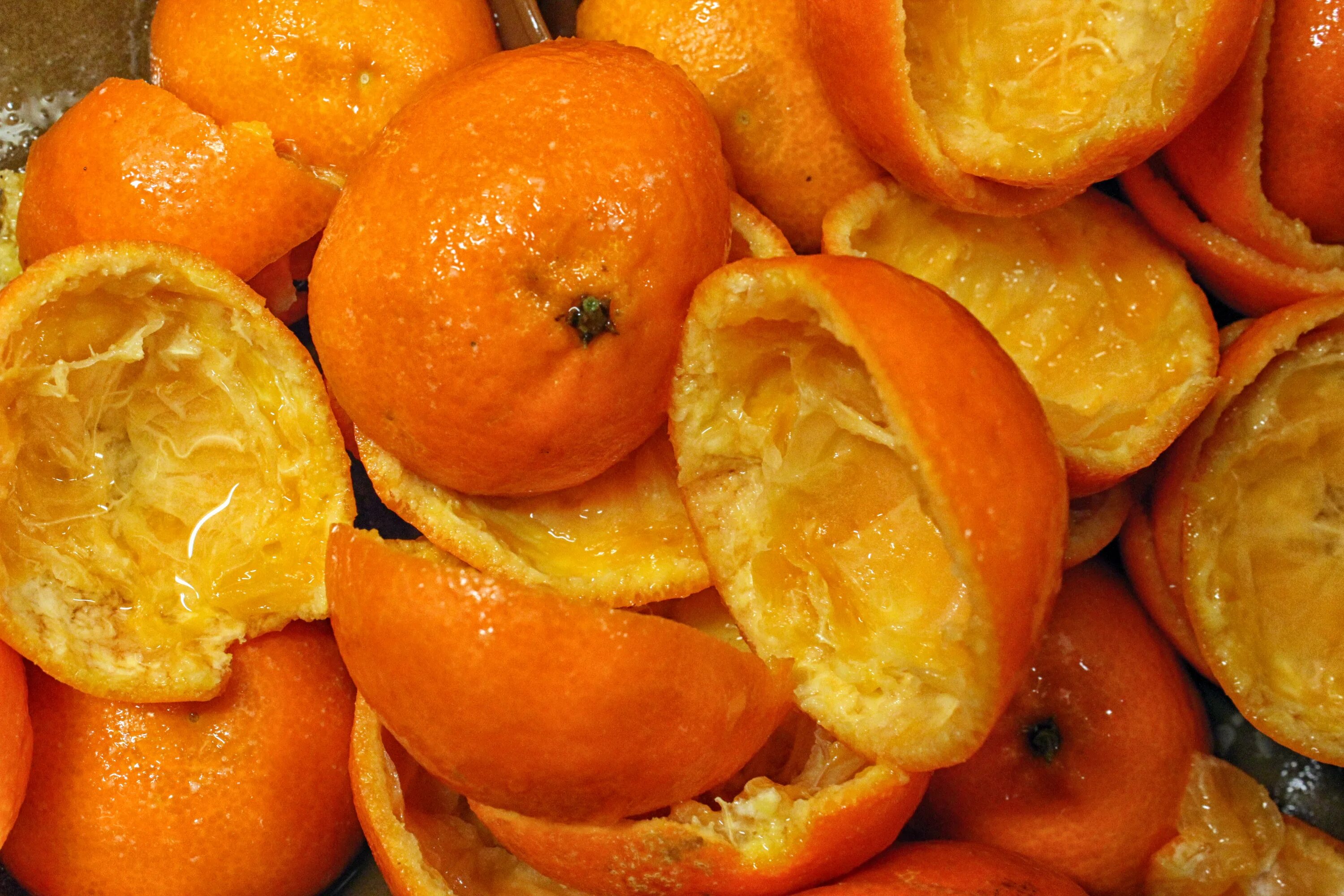 Сухие корки мандаринов. Кожуры мандарина (Citrus reticulata). Мандарин померанец. Цитрус мандарин +апельсин. Апельсиновая корка.