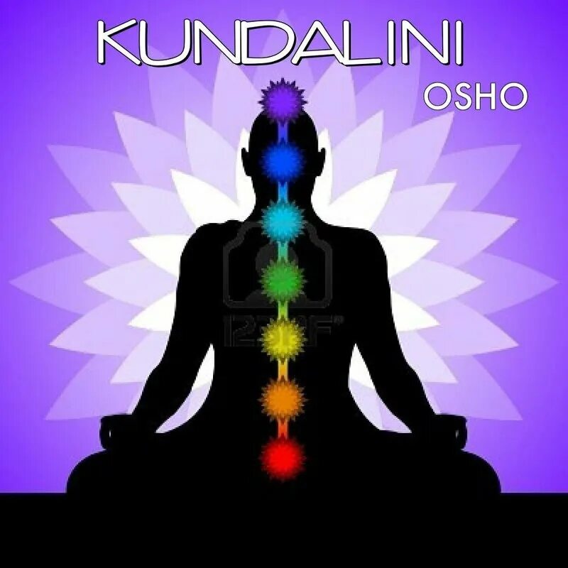 Кундалини змея kundalini. Кундалини сахаджа йога. Кундалини змеиная энергия. Кундалини что это за энергия. Кундалини змея чакры.