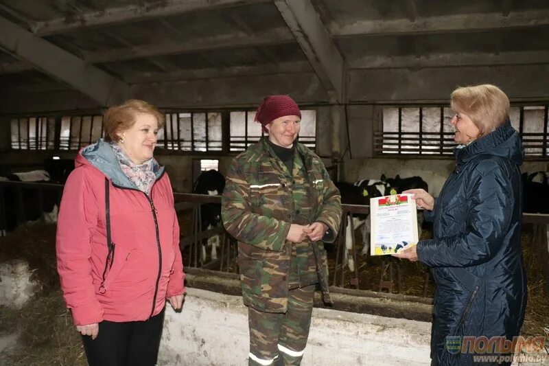 Спк маяк. Луки-агро спк кореличского района. спк маяк браславский работники. новости кореличского района.