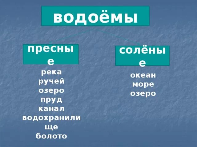 Отличие пруда от озера. Воды суши: ручьи, реки. Озера, болота, пруды.. Пресные и соленые водоемы. Океан озеро пруд ручей море. Озера пруды водохранилища 5 класс 8 вид презентация.