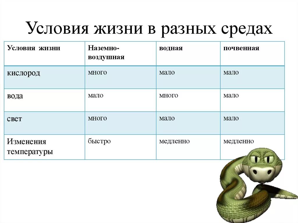 Внешним условиям жизни. Условия жизни пример. Условия жизни в разных средах. Условия жизни человека примеры. Условия жизни биология.